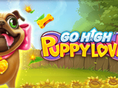 Go High Puppy Love